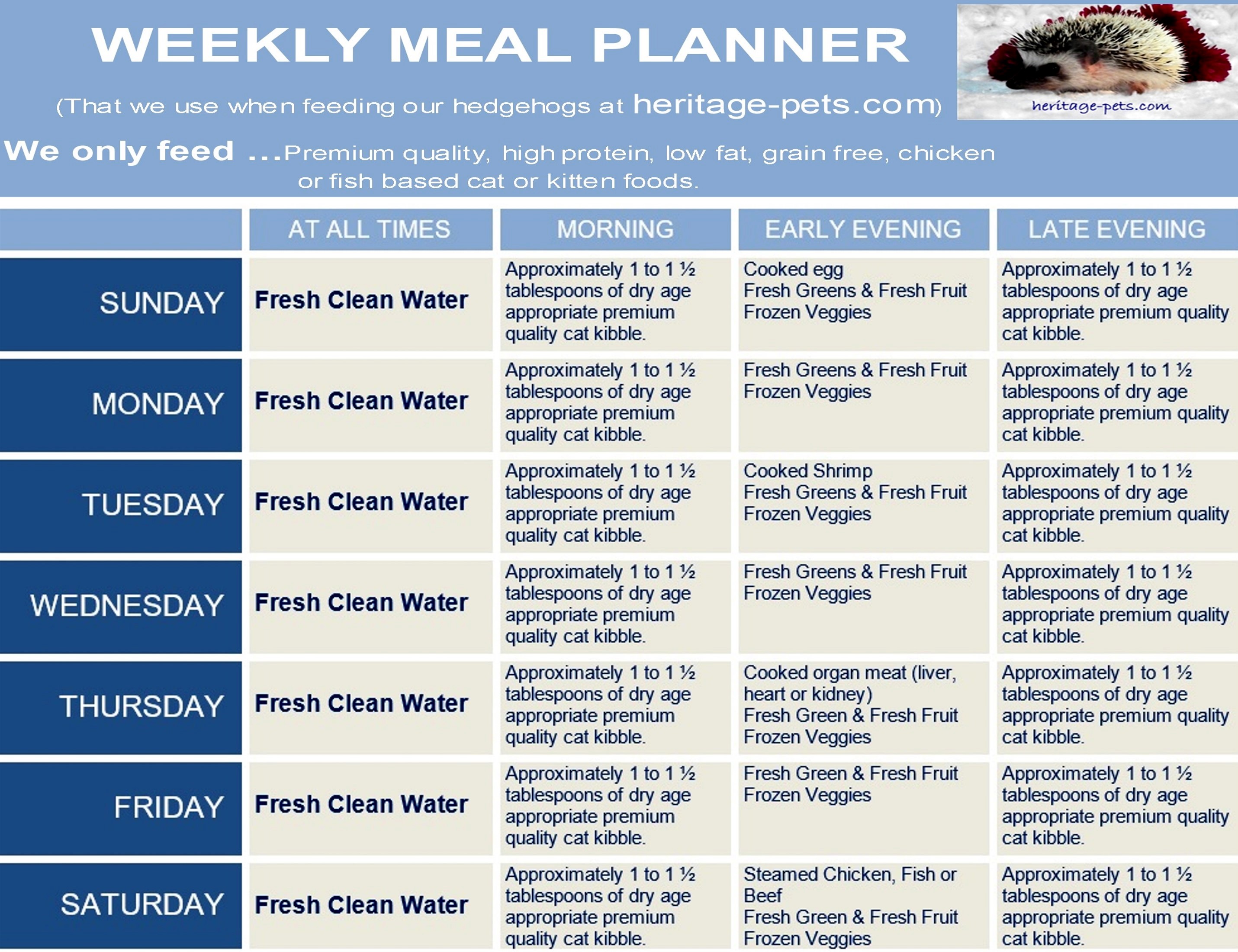 guinea pig feeding schedule